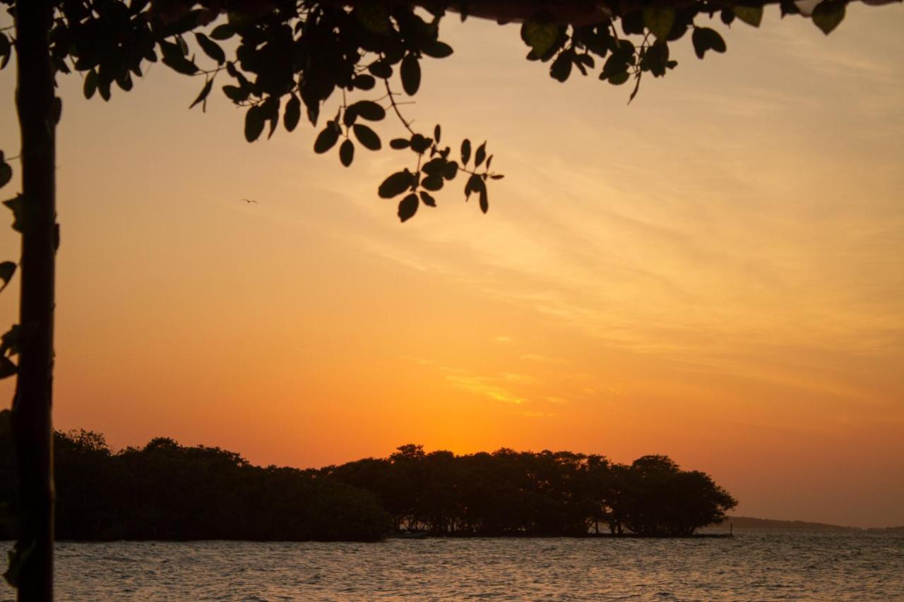 Isla Los Erizos Ecohouse Isla Grande  Buitenkant foto