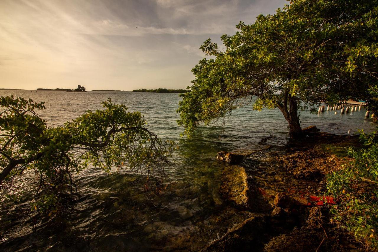 Isla Los Erizos Ecohouse Isla Grande  Buitenkant foto